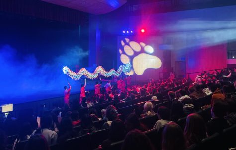 Wushu Shaolin Entertainment Group performs a dragon dance in Saperstein theater to celebrate Lunar New Year with the entire middle school student body on Monday, Jan. 23.