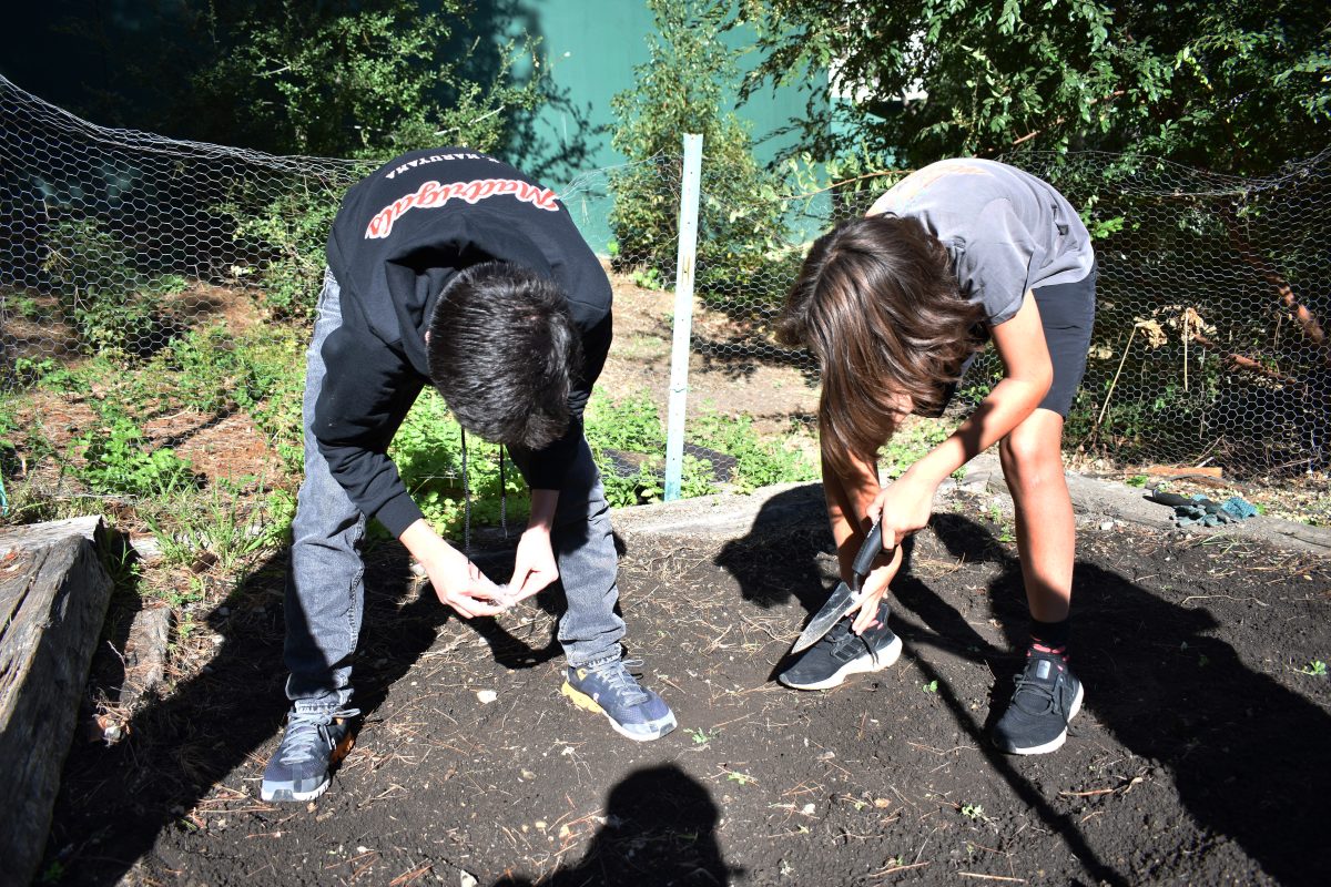 Kaison Maruyama 27 and Sage Bonotto 27 till the garden and plant seeds on a Tuesday morning during Gardening Club.