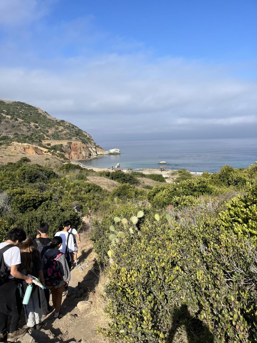 Students hike to Parsons Landing in Catalina