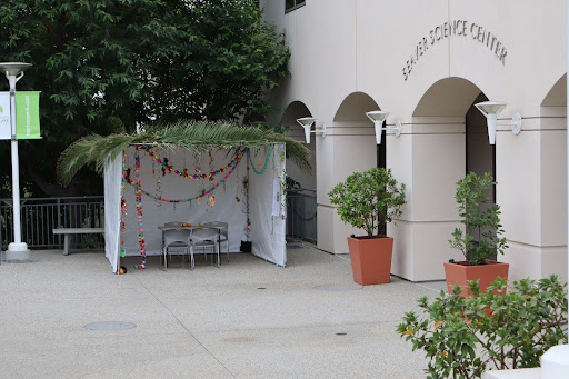 The Sukkah on Campus