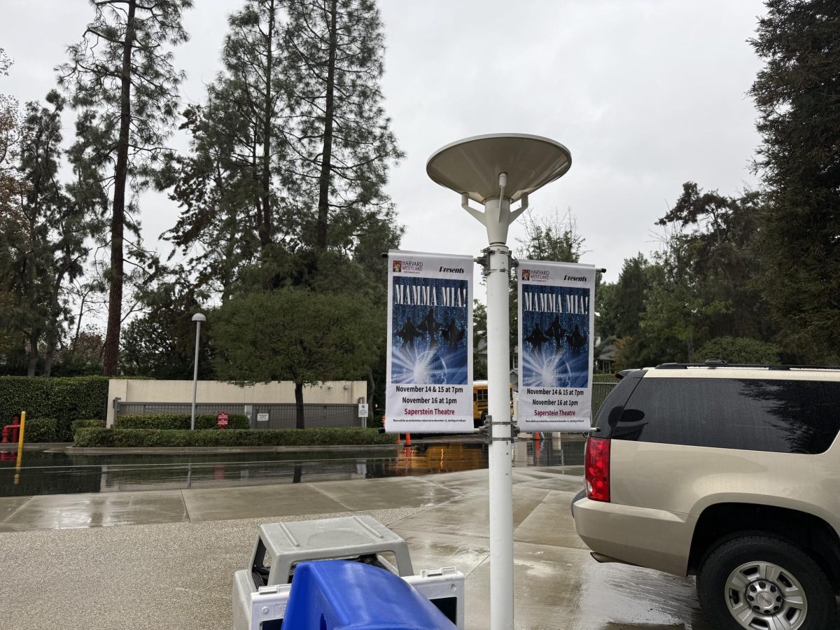 Posters advertising the upcoming Mamma Mia! musical on a rainy afternoon.
