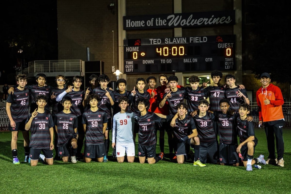Wolverine Freshman impress in 4-0 route of Panorama