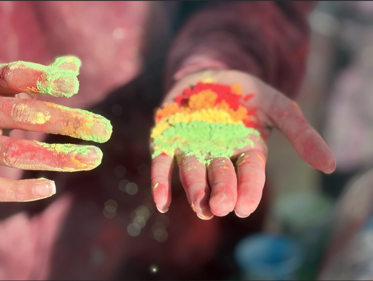 Holi powder being displayed.